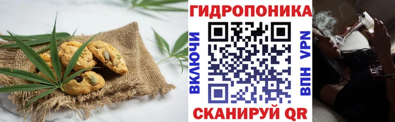 Cannafood конопля  Шенкурск 