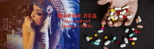 стаф Зеленокумск