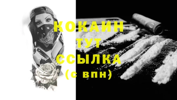 стаф Зеленокумск