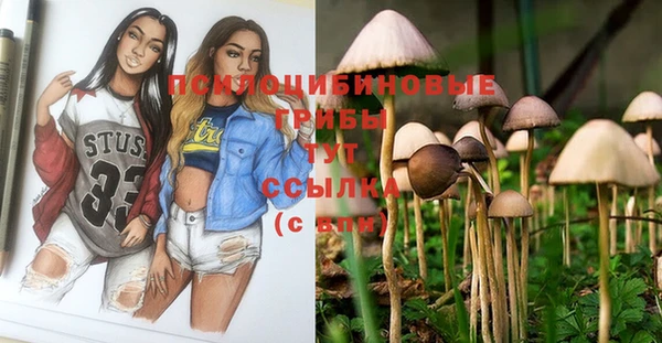 MDMA Premium VHQ Михайловск
