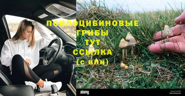 хмурый Зеленодольск