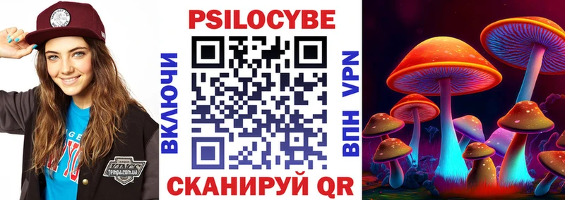наркота  Шенкурск  Псилоцибиновые грибы мицелий 